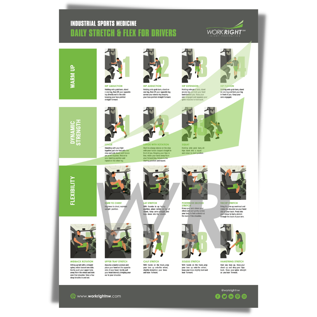 Daily Stetch & Flex For Drivers [Digital Download]