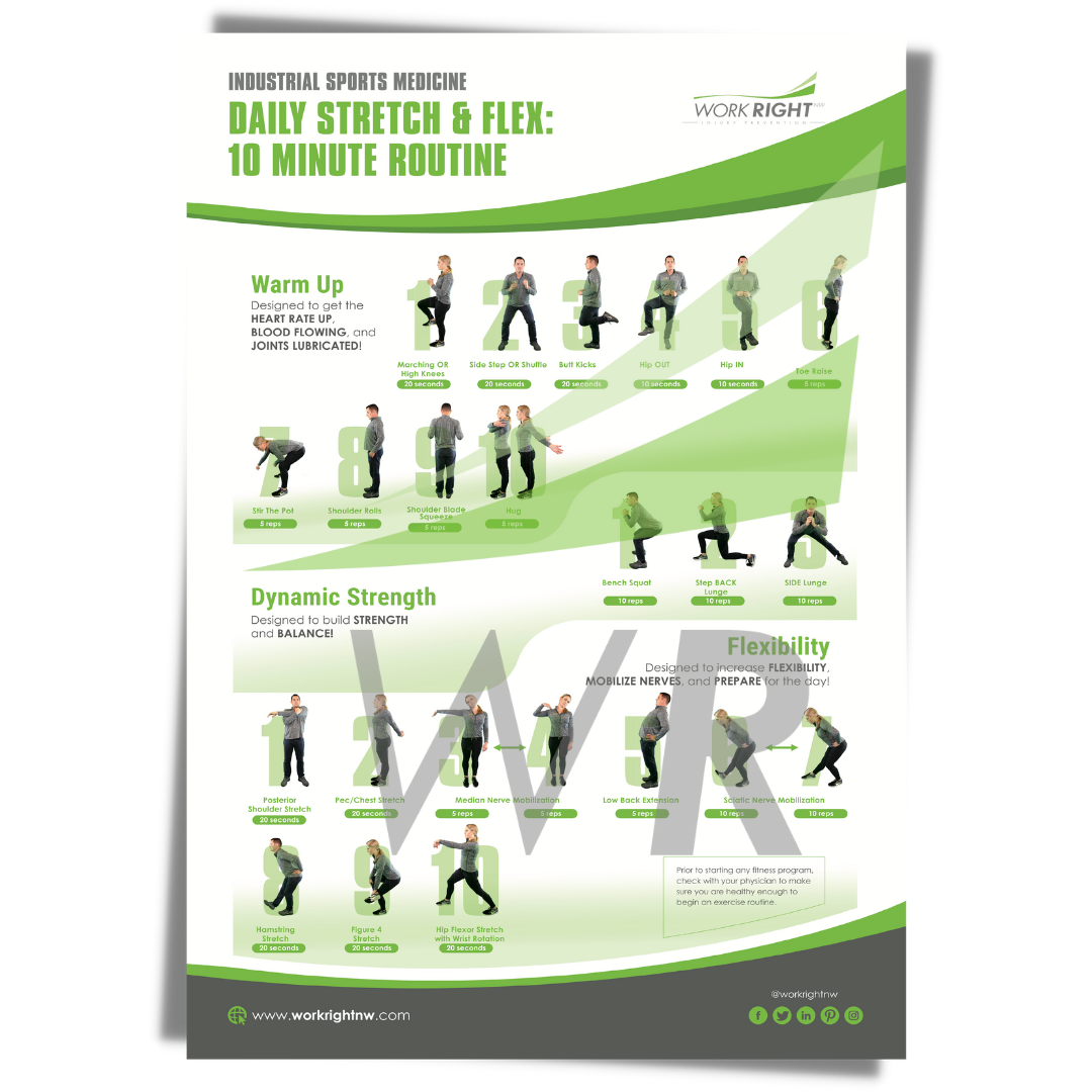 Daily Stretch & Flex: 10 Minute Routine [Digital Download]