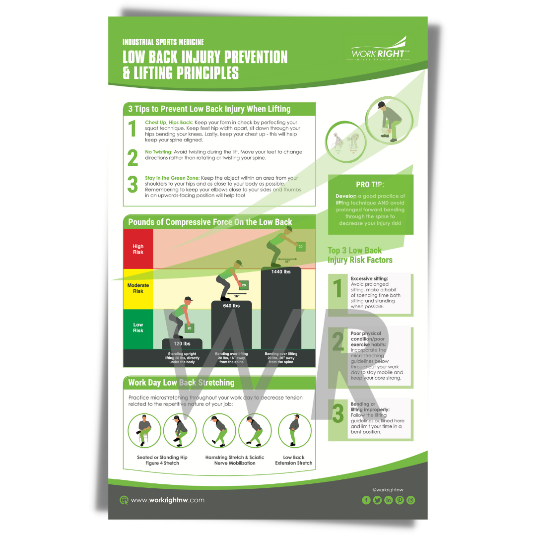 Low Back Injury Prevention & Lifting Principles [Digital Download]