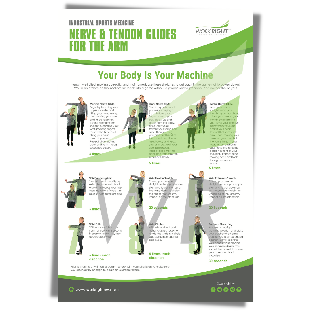 Nerve & Tendon Glides For The Arm [Digital Download]