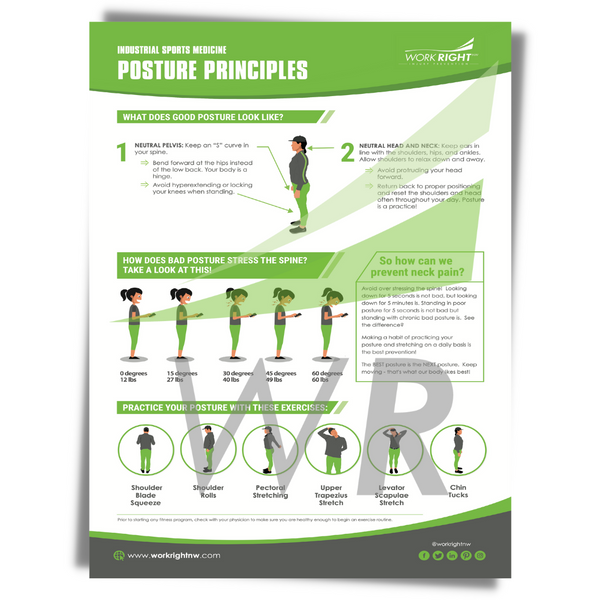 Posture Principles