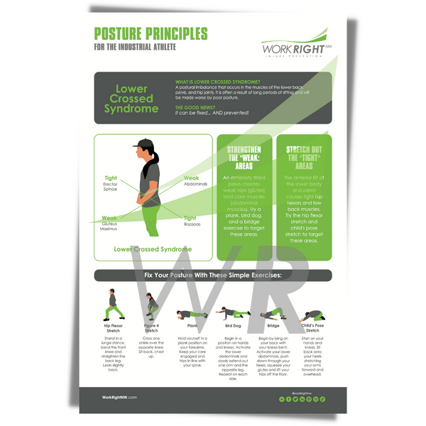 Posture Principles – Lower Crossed Syndrome