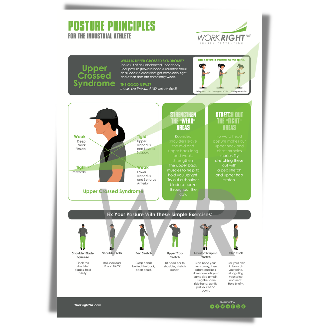 Posture Principles – Upper Cropped Syndrome [Digital Download]