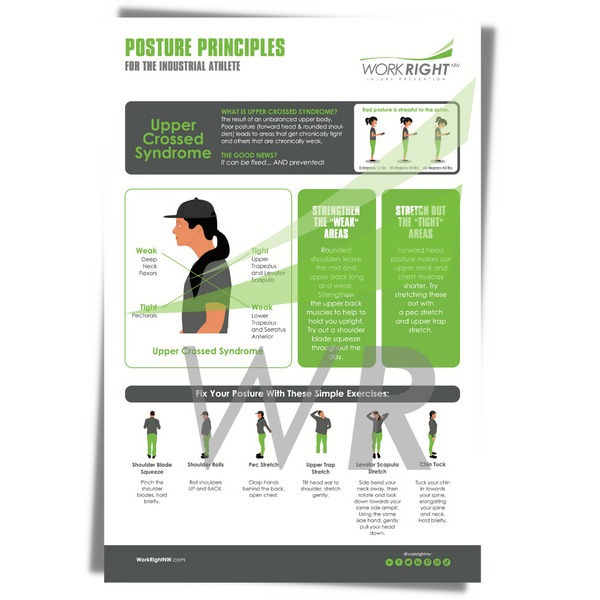 Posture Principles – Upper Cropped Syndrome