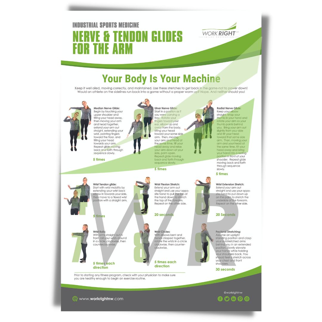 Nerve & Tendon Glides for the Arm [Digital Download]